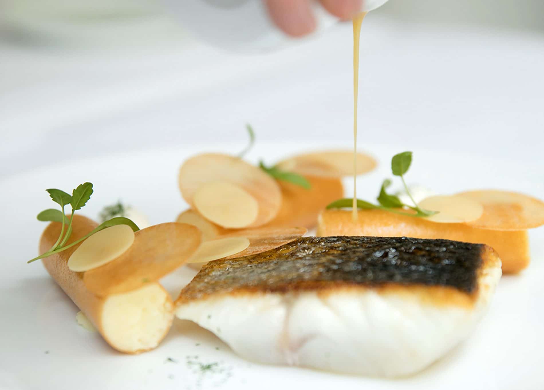 Restaurant Pertinence - Plats : Bar rôti